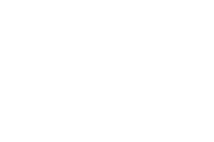 Autonomous driving and smart ADAS solution provider
